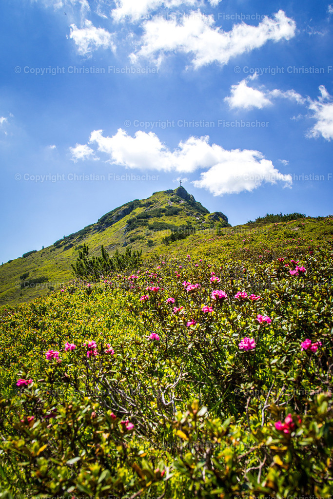 Fotos_Copyright_Chri_Fischbacher_Druck-4 | Bildershop Chri Fischbacher - Realisiert mit Pictrs.com