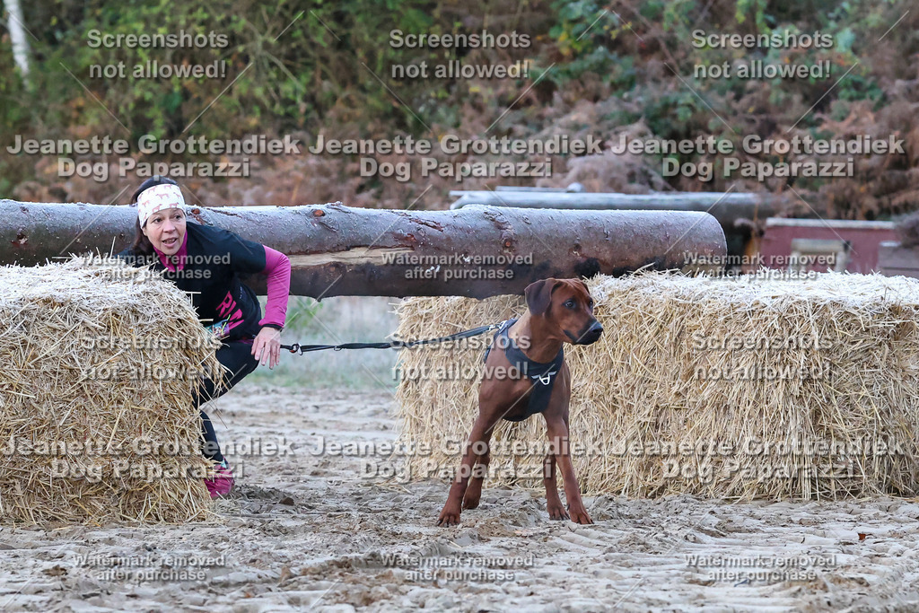 Dog Paparazzi - Strongdog 10-25-27 | Dog Paparazzi Jeanette Grottendiek Fotografie & Videografie - Realisiert mit Pictrs.com