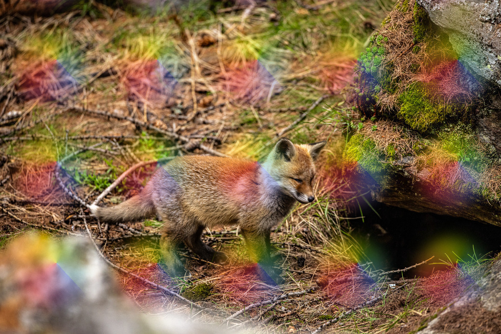 1M5A9763 | FineArtPrint, Hahnemühle, FeeGalerie, Fee Galerie, Fotokunst, Fotografie, Canonphotography, Bergfoto, Matterhorn, Rimpfischhorn, Allalinhorn, Saas-Fee, Wallis, Valais, Switzerland, Bergfotografie