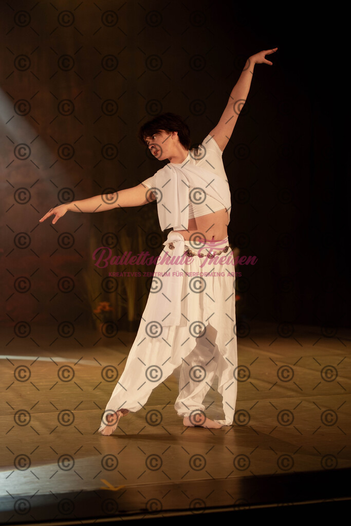 Ballettaufführung-795 | Bildershop Lem'n Entertainment - Realisiert mit Pictrs.com