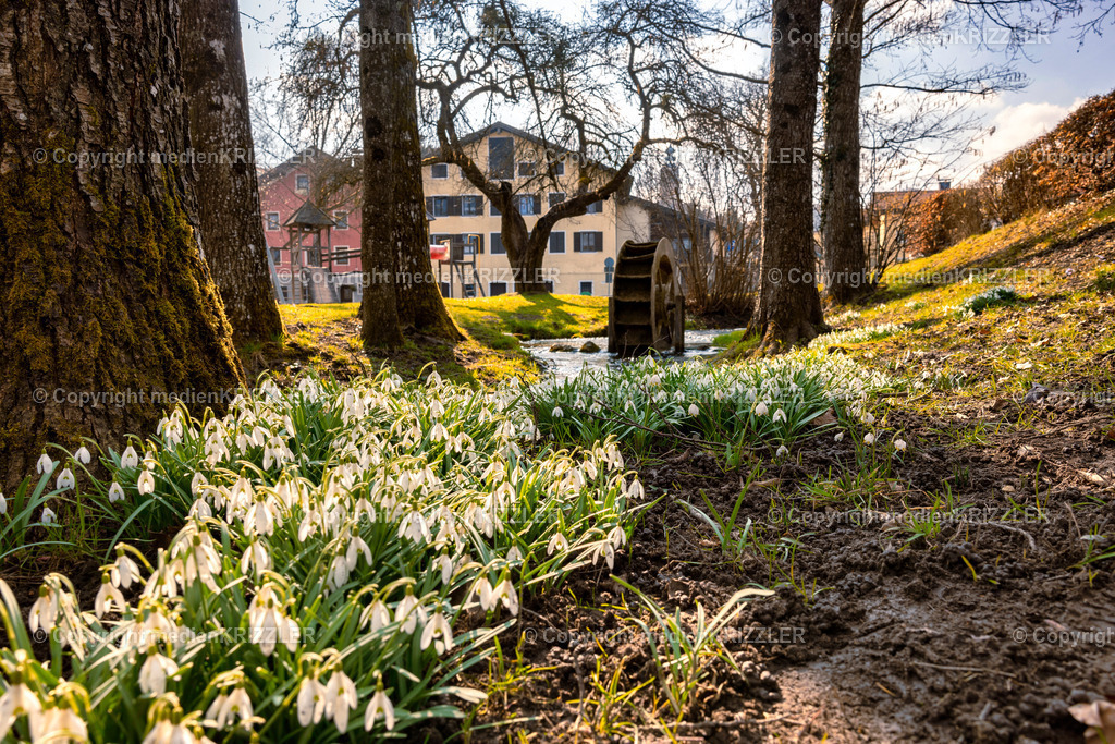 Tittmoning | medienkrizzler - Realisiert mit Pictrs.com