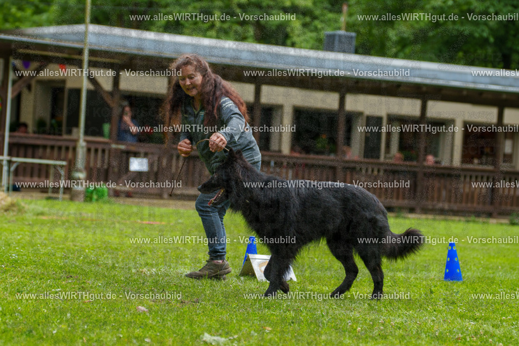 @allesWIRTHgut_Tierfotografie - www.allesWIRTHgut.de - 7R501725 | Professionelle Tierfotografie in Mönchengladbach von Daniel Wirth (allesWIRTHgut). Liebevolle & natürliche Bilder von Hunden & Katzen für unvergessliche Erinnerungen.