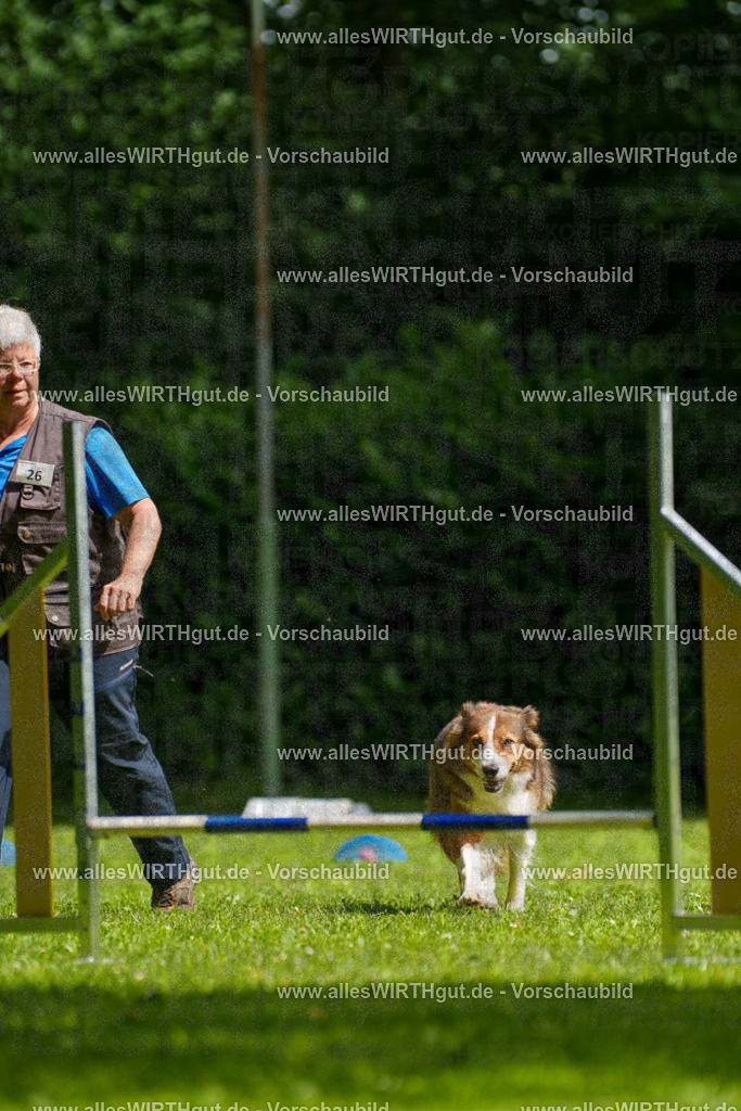 @allesWIRTHgut_Tierfotografie - www.allesWIRTHgut.de - 100532-7R508014 | Professionelle Tierfotografie in Mönchengladbach von Daniel Wirth (allesWIRTHgut). Liebevolle & natürliche Bilder von Hunden & Katzen für unvergessliche Erinnerungen.