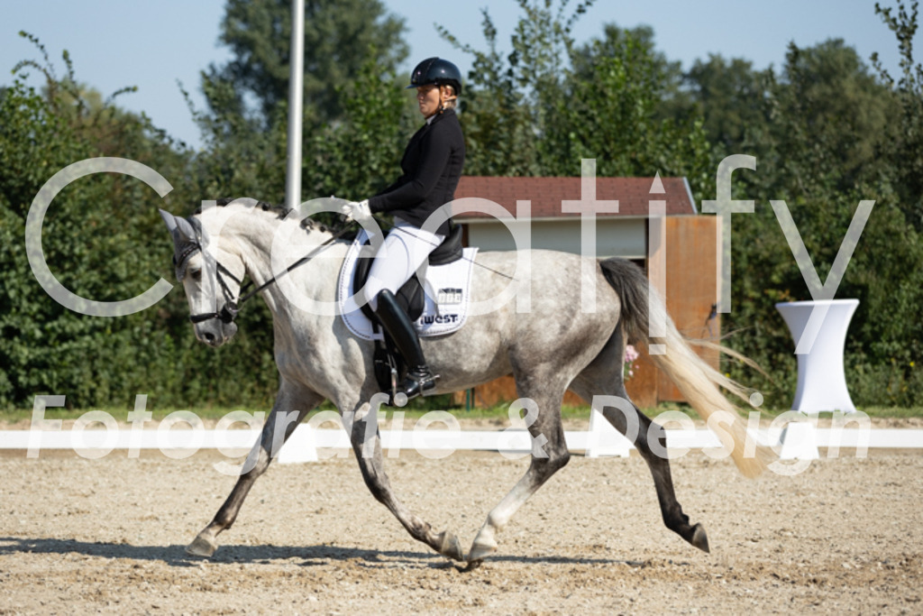 IMG_5854 | Creatify Fotografie