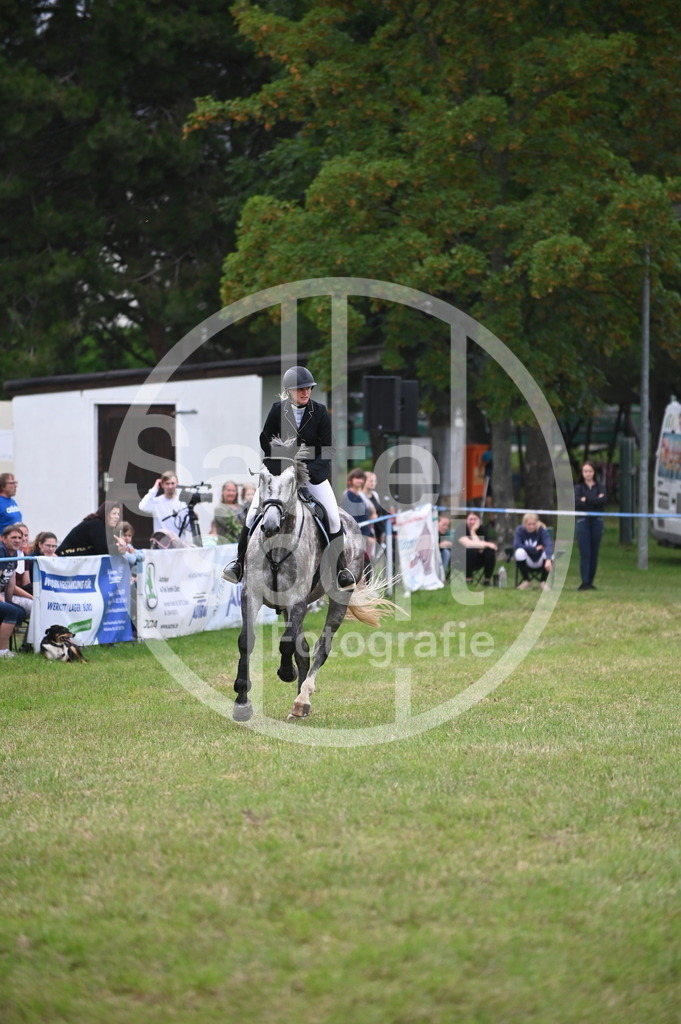 DSC_1252 | sattelsport - Realisiert mit Pictrs.com