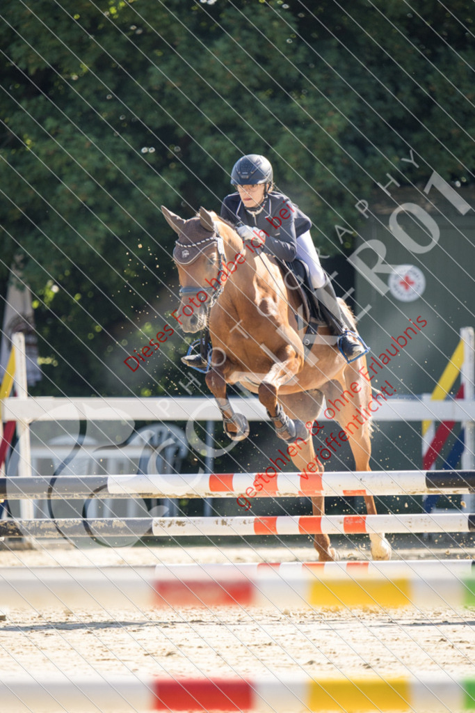 IMG_2590 | Sport-, Event- und Tierfotos in Profiqualität. Einfach auswählen, bestellen und herunterladen. Dein Moment – perfekt festgehalten.