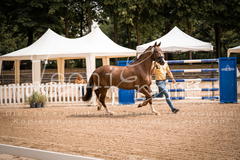 4.Fr00044 | Leoni Ertmer Photography - Realisiert mit Pictrs.com