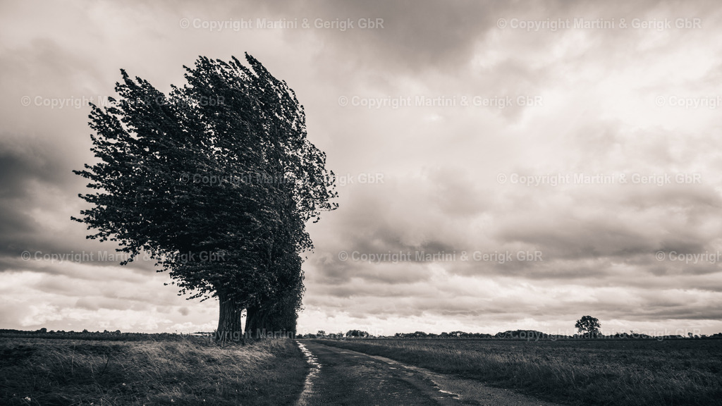 Markus Gerigk_50 | Martini & Gerigk - Realisiert mit Pictrs.com