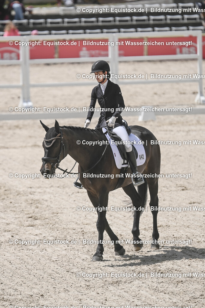 20250516_CCI2_Dressur_0217 | Foto: Thomas Hartig