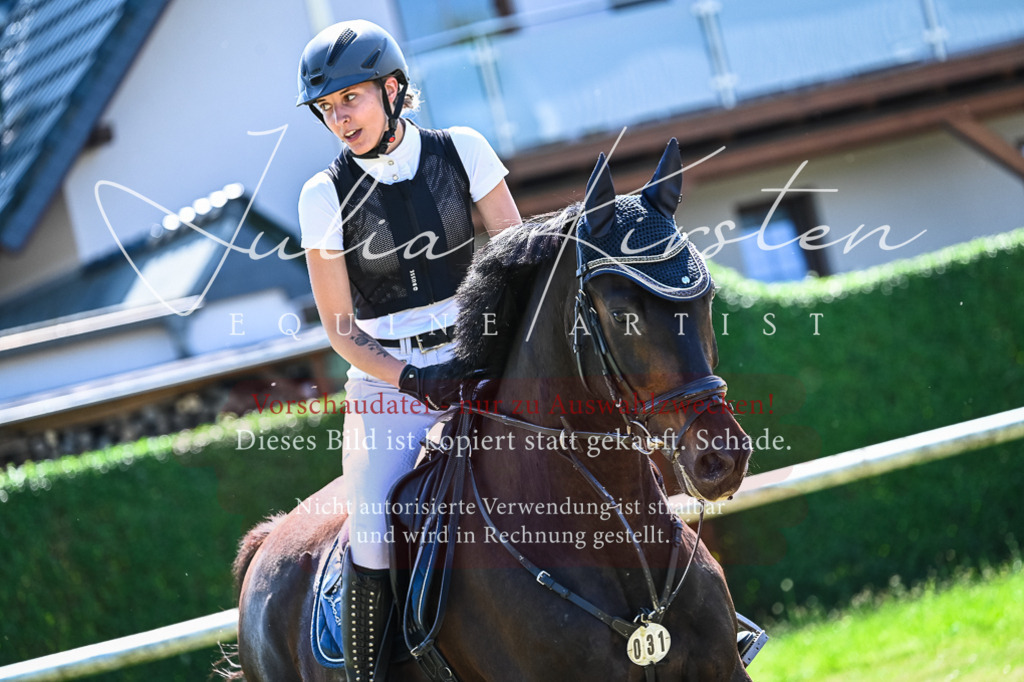 DSC_1131 | Pferde- und Turnierfotografie in Westsachsen. Pferdeportraits, Auftragszeichnungen und intuitive Kunst.