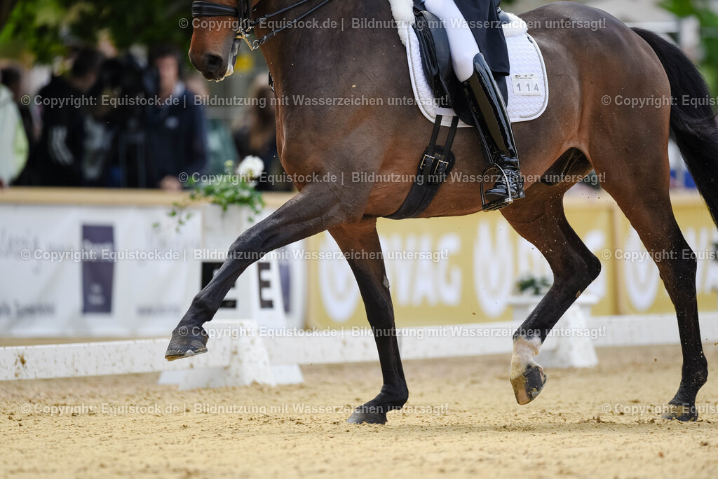 20250607_1_GP-Tour_Dressage_0092 | Foto: Thomas Hartig