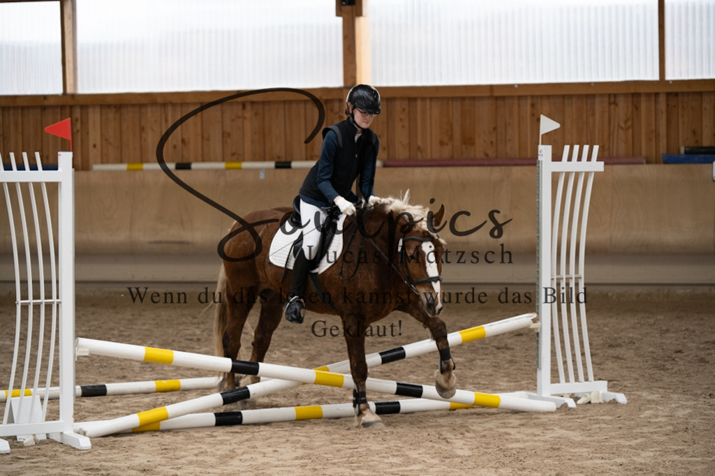 A7V09950 | Pferdefotograf