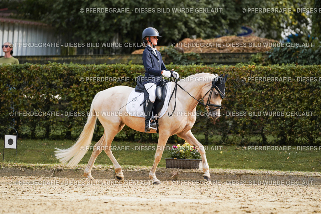 DSC04793 | Pferdegrafie