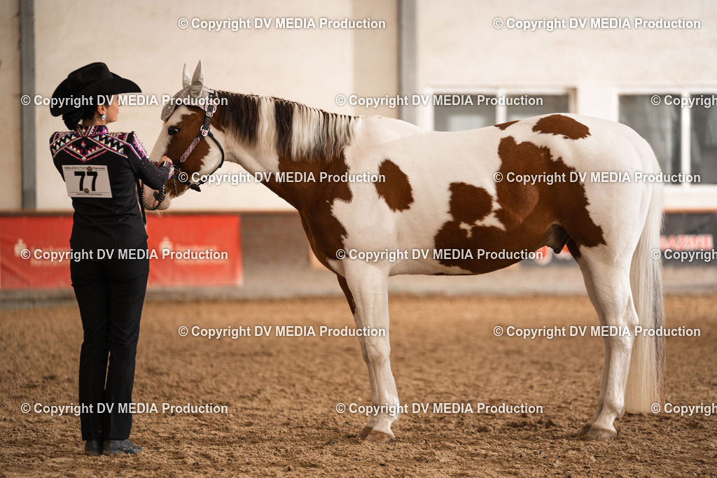 Heiligenwald Tag 2-318 | dv-media-shop - Realisiert mit Pictrs.com
