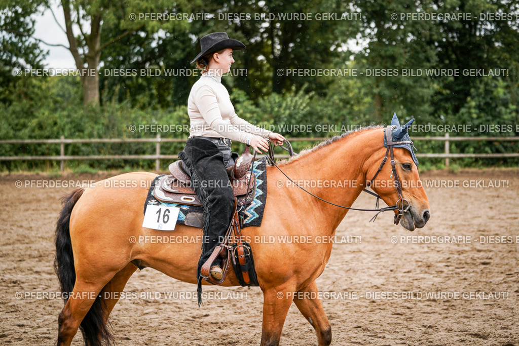 DSC04904 | Pferdegrafie