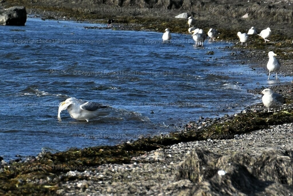 DSC_0069 (2) | Sportfotografie , Motorsport, Motoross, Reitsport, Mointainbike, Enduro,
Landschaft , Outdoor, Eventfotografie, Landschaft, Bilder online bestellen - Realisiert mit Pictrs.com