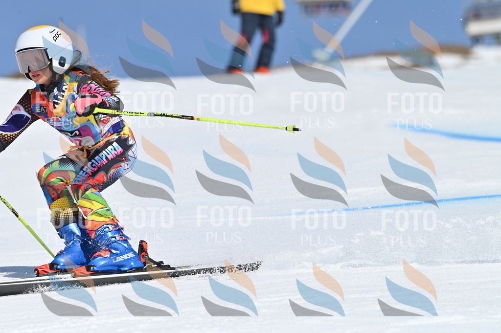 BGV_8857 | holidayphoto