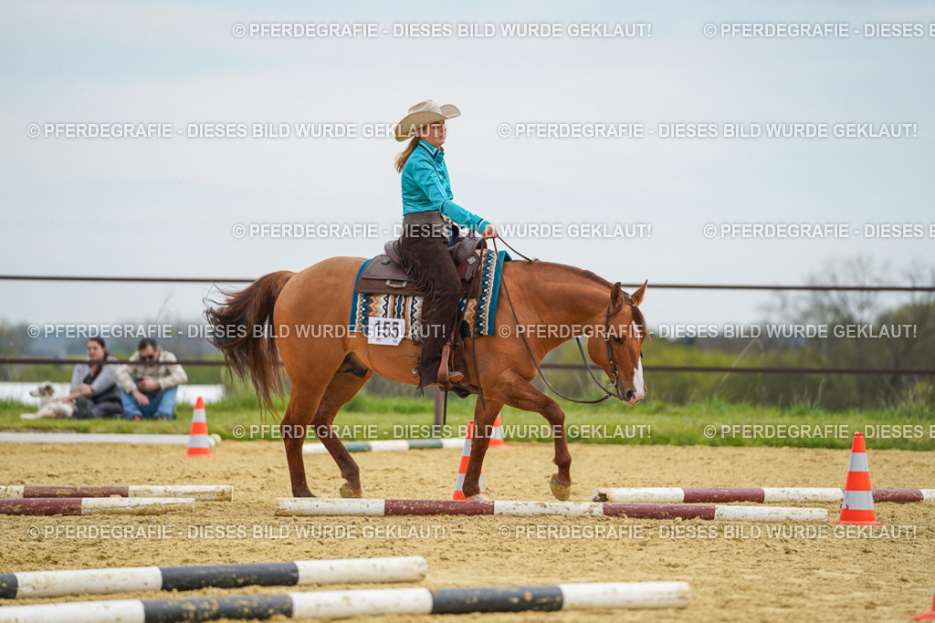 DSC03111 | Pferdegrafie