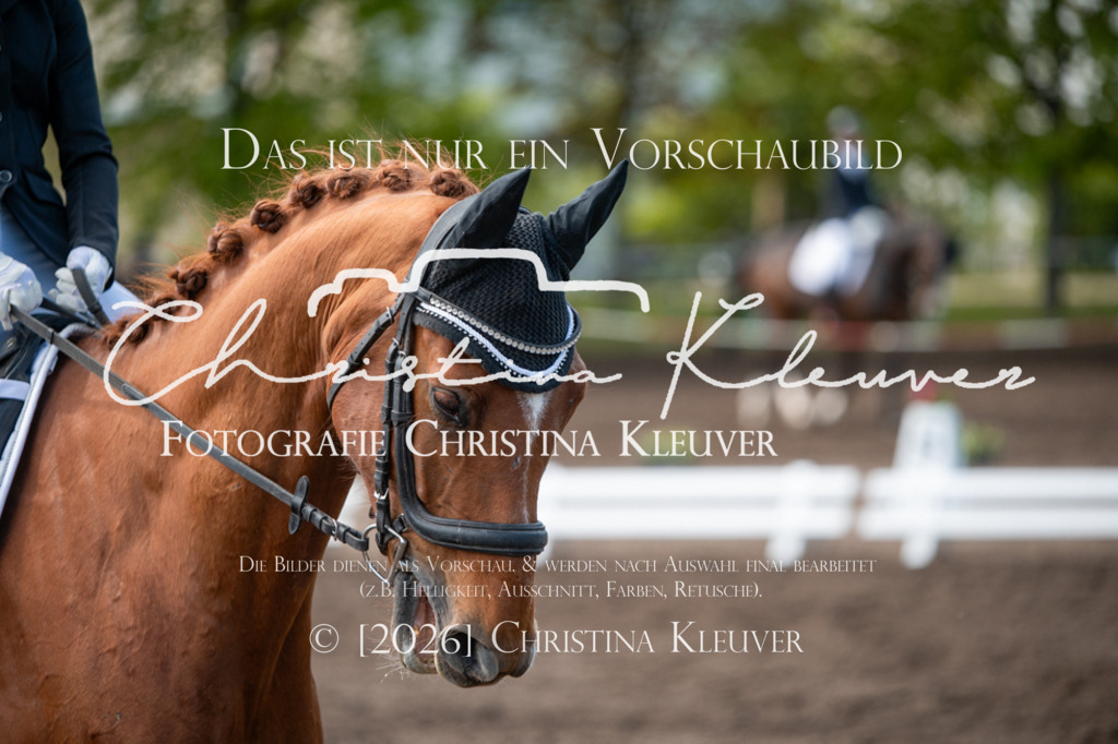 DSC_3501 | Christina-Kleuver
