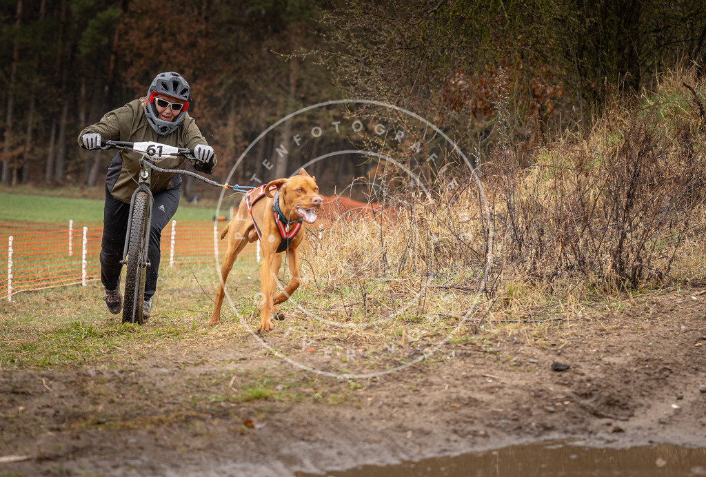 DV3A9514 | Hundefotografie, Tierfotograf, Pfotenfotografie, Fotoshooting Hund, Hunde Portrait, Hundesport, Hundeportraits, Heideshooting, Hunde, Sportfotograf, Hundefotograf, Turnierhundsport, THS,  - Realisiert mit Pictrs.com