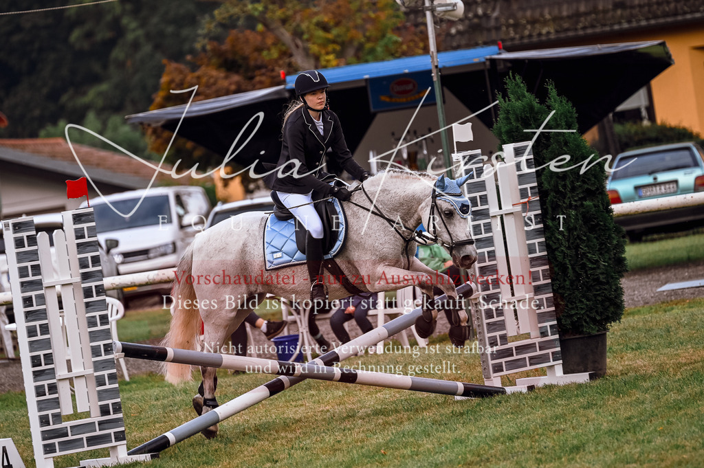 DSC_5525 | Pferde- und Turnierfotografie in Westsachsen. Pferdeportraits, Auftragszeichnungen und intuitive Kunst.