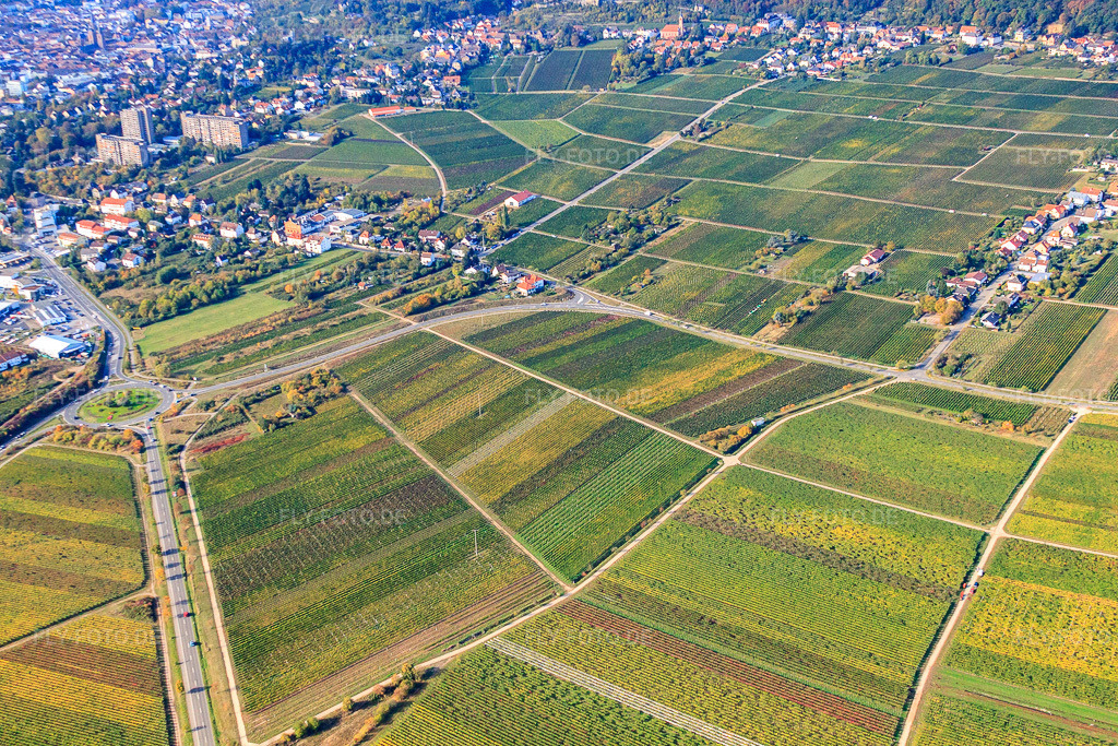 Luftbild: Ortsansicht von Nordosten in Neustadt an der Weinstraße im Bundesland Rheinland-Pfalz in Deutschland. Foto: IMG_22055.jpg vom 15.10.2009 durch Werner Riehm/FLY-FOTO.de