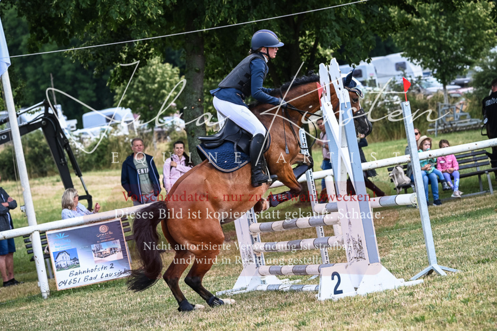 DSC_8215 | Pferde- und Turnierfotografie in Westsachsen. Pferdeportraits, Auftragszeichnungen und intuitive Kunst.