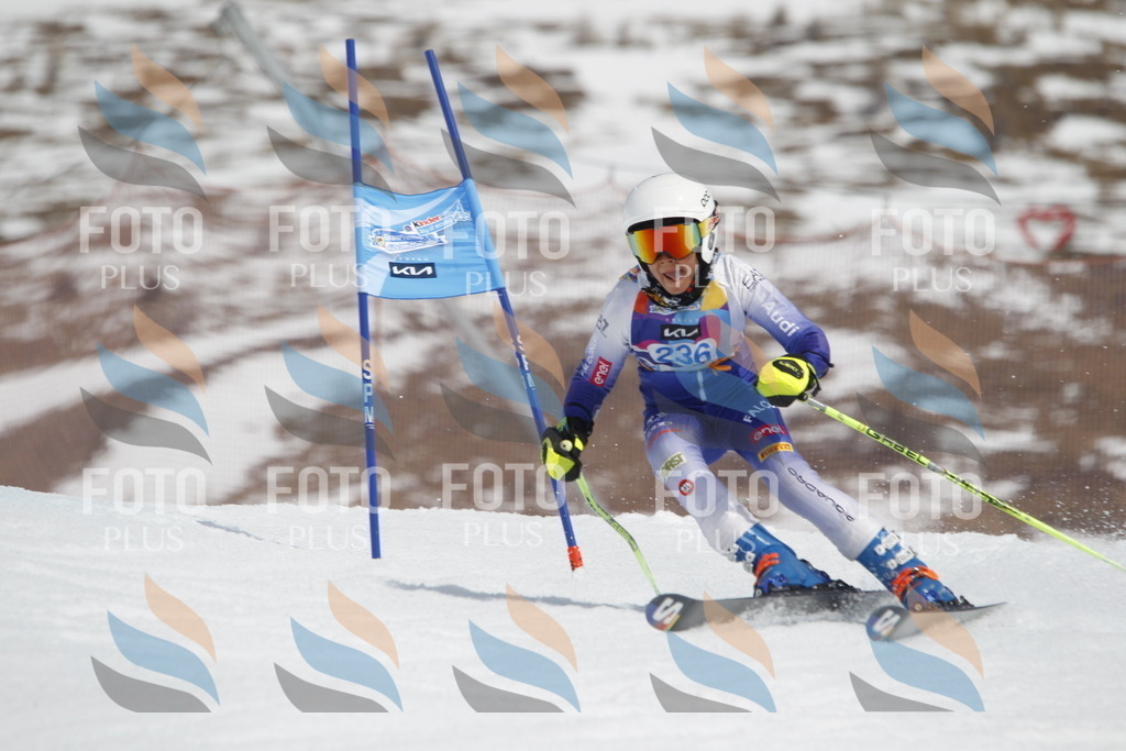 _U3G2609 | holidayphoto