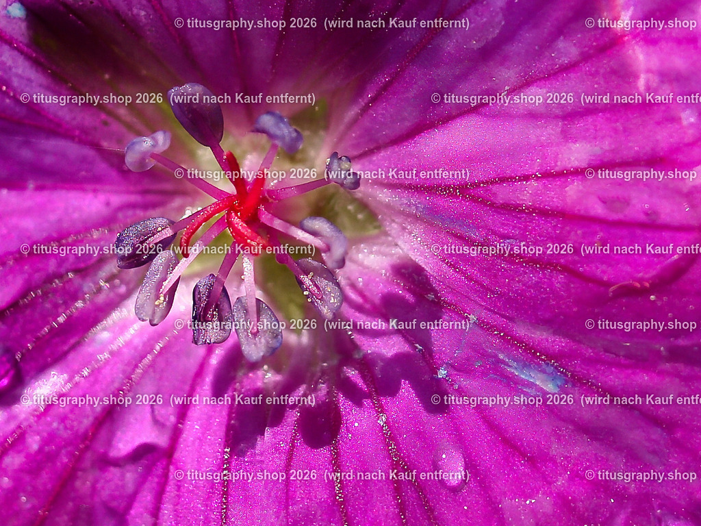 titusgraphy_P5219060-vz-ln-02-a-q | titusgraphy-shop: Geschenkideen mit Qualitätsfotos. titusgraphy-shop: gift ideas with quality photos. titusgraphy-shop: idées cadeaux avec photos de qualité.  - Realisiert mit Pictrs.com