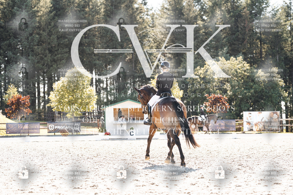 CK905681 | Turnierfotografie Pferdefotografie Trier Rheinland-Pfalz Pferdesport Reitsport Tierfotografie Sportfotografie Pferdevideo Pferdevideografie Equestrianvideography equestrianphotography  - Realisiert mit Pictrs.com