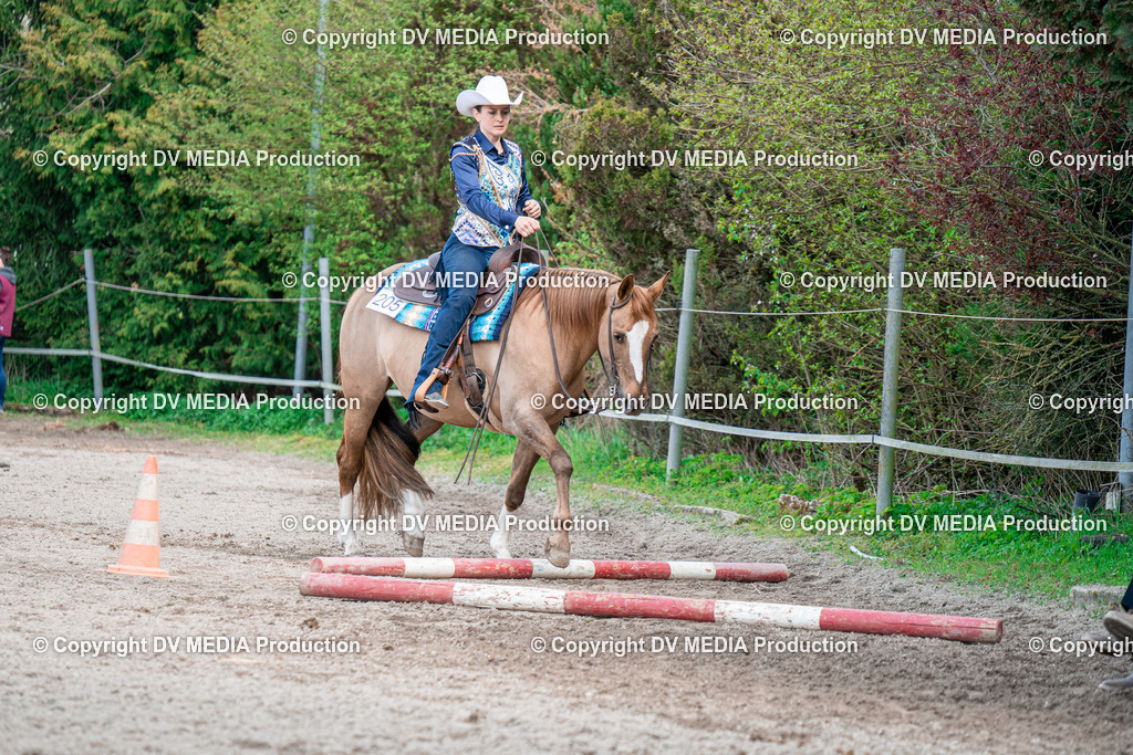 BAL02481 | dv-media-shop - Realisiert mit Pictrs.com