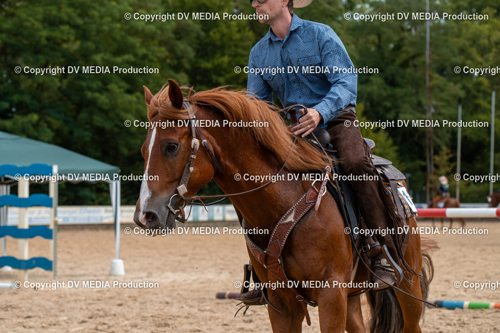 EWP_6080 | dv-media-shop - Realisiert mit Pictrs.com