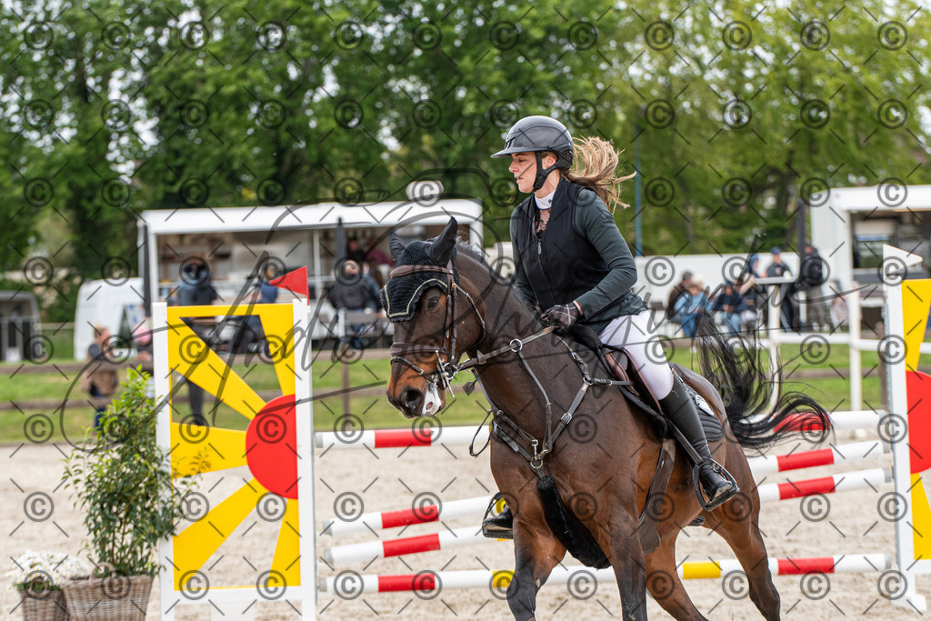 KPT_8543 | andre_photographic