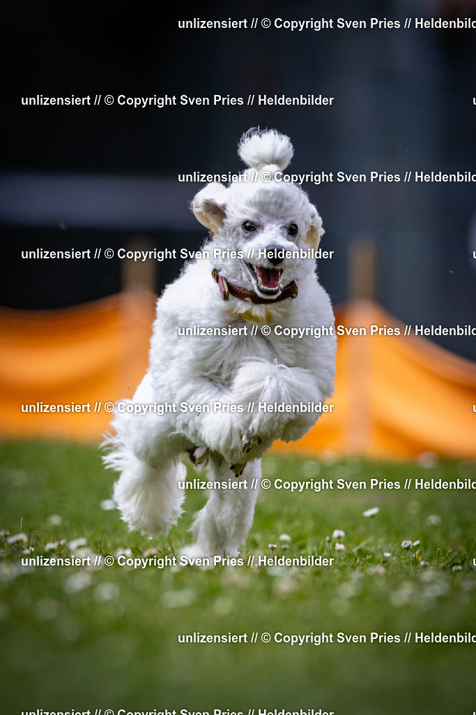 Sven Pries | 2025-05-29 - Pudelrennen KA-Durlach - Realisiert mit Pictrs.com