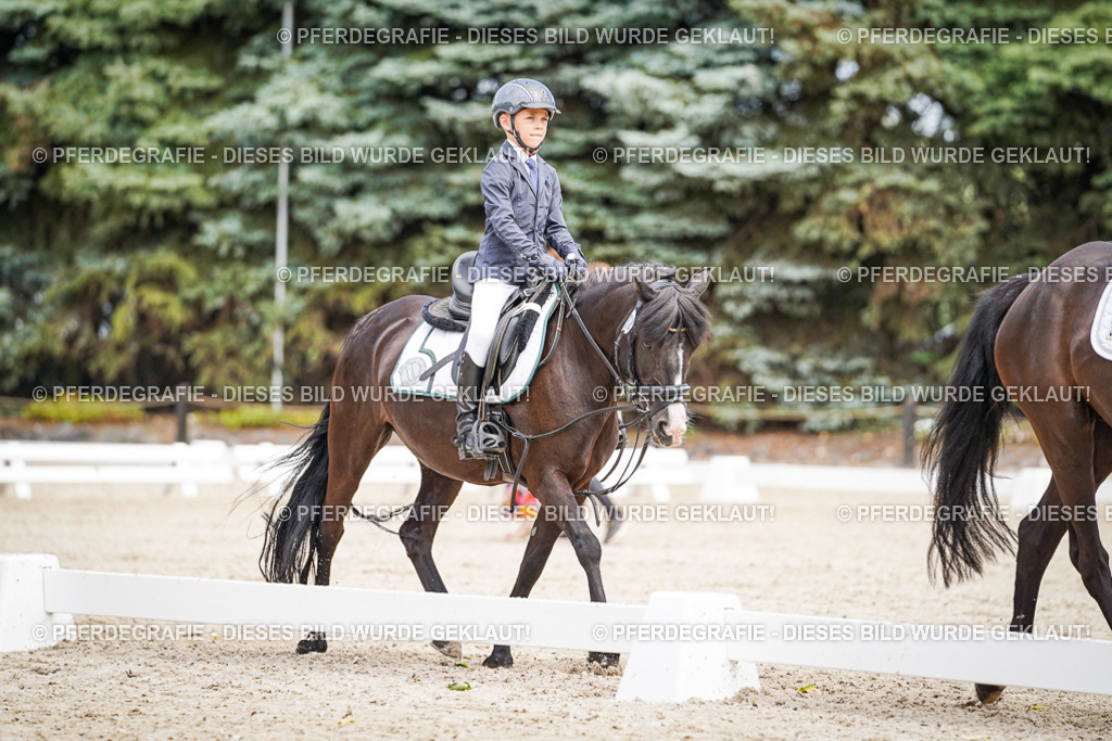 DSC02827 | Pferdegrafie