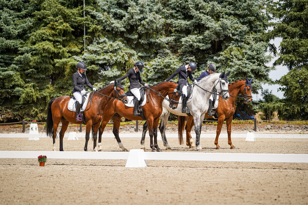 DSC02521 | Pferdegrafie