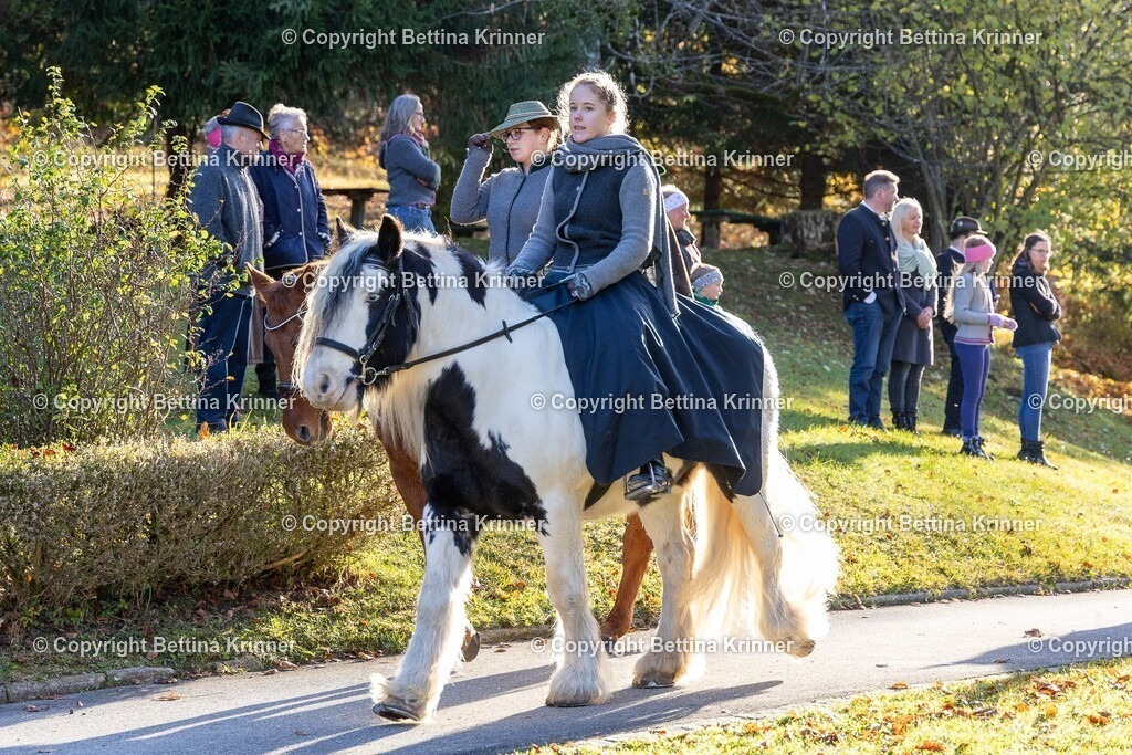LL24-233 | foto-bettina-krinner - Realisiert mit Pictrs.com