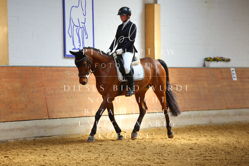 IMGT3653 | pl-fotografie