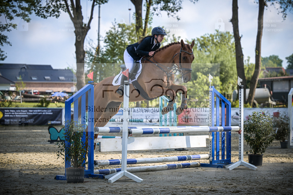 DOS_4932 | Entdecke hochwertige Reitturnierfotos von Foto Oger. Professionell, emotional und authentisch – jetzt Lieblingsmomente im Shop bestellen. - Realisiert mit Pictrs.com