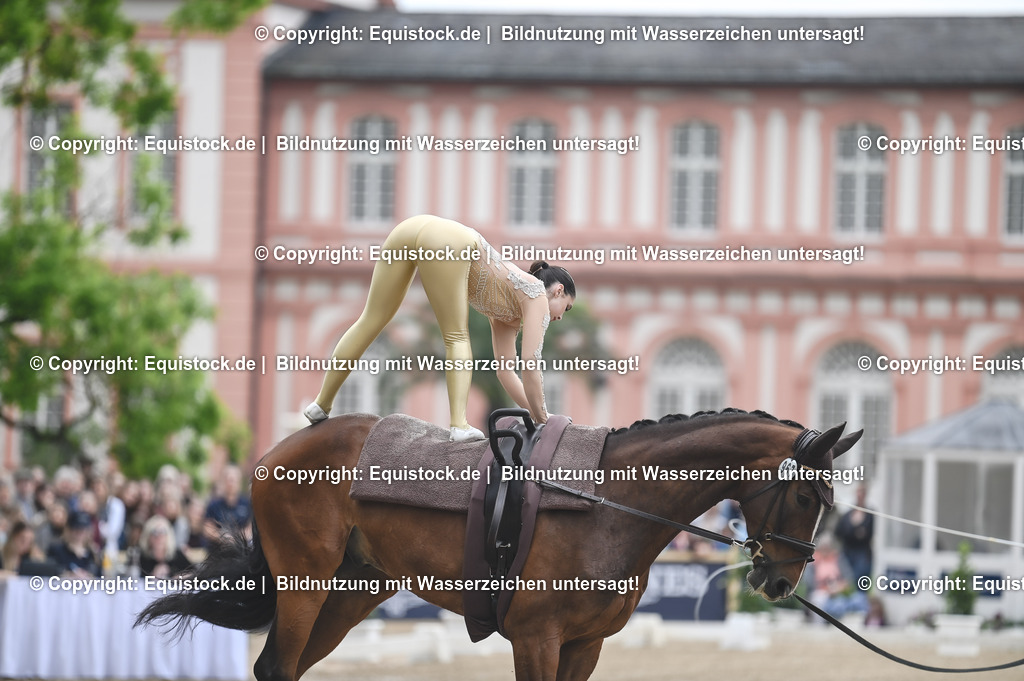 20240519_Voltige_0194 | Foto: Thomas Hartig