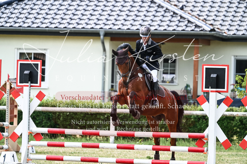 DSC_9146 | Pferde- und Turnierfotografie in Westsachsen. Pferdeportraits, Auftragszeichnungen und intuitive Kunst.