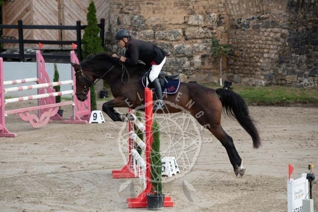 2B4A2086 | pixelfaenger - Realisiert mit Pictrs.com