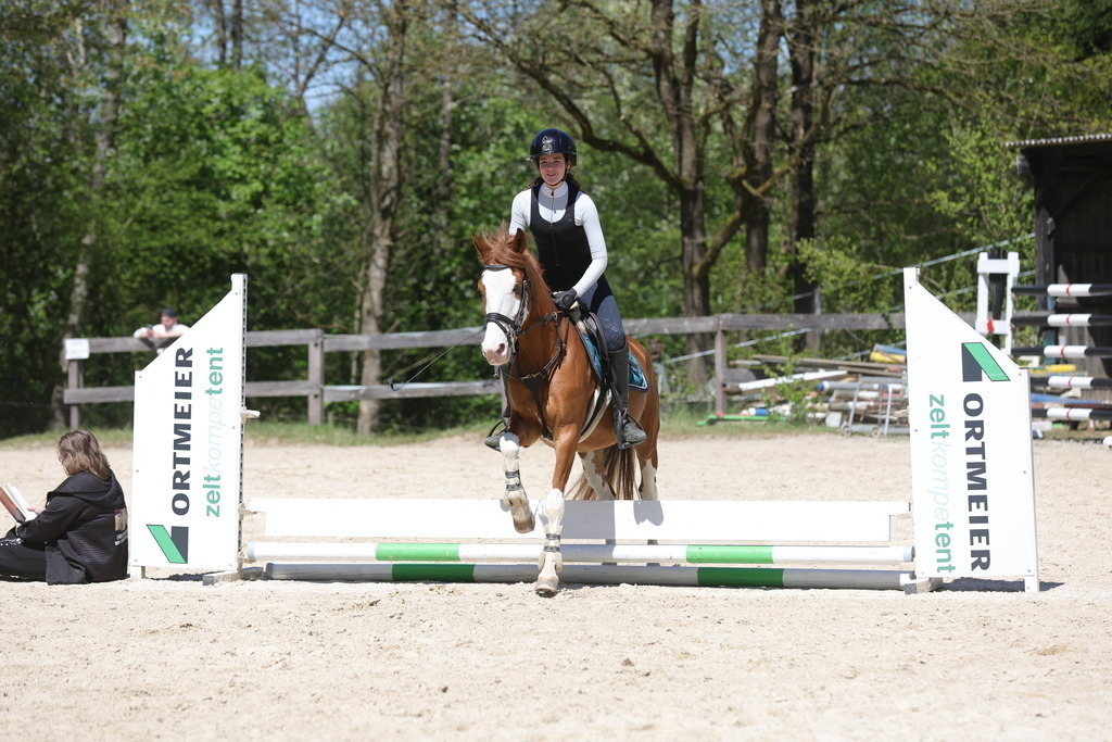 0P6A8815 | Willkommen bei Brunnmayr - Design & Fotografie – Ihrem Spezialisten für Reitturniere und Pferdeveranstaltungen in Oberösterreich, Salzburg und Bayern! Seit über 17 Jahren sind wir leidenschaftlich dabei.
