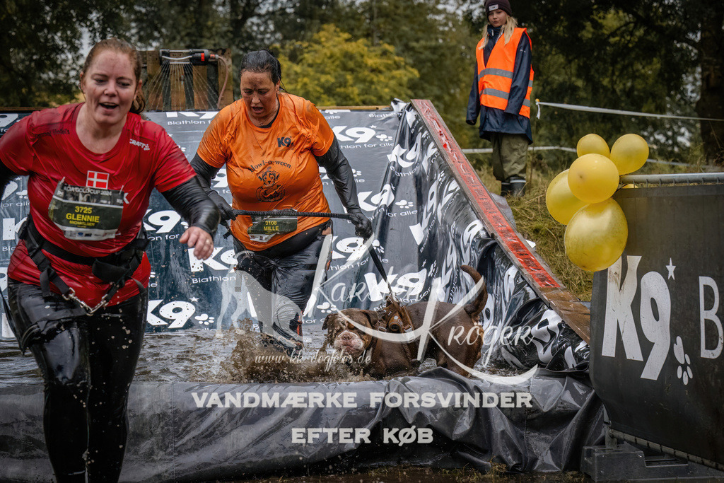 1237_ZZ90353 | kk-dogfotos