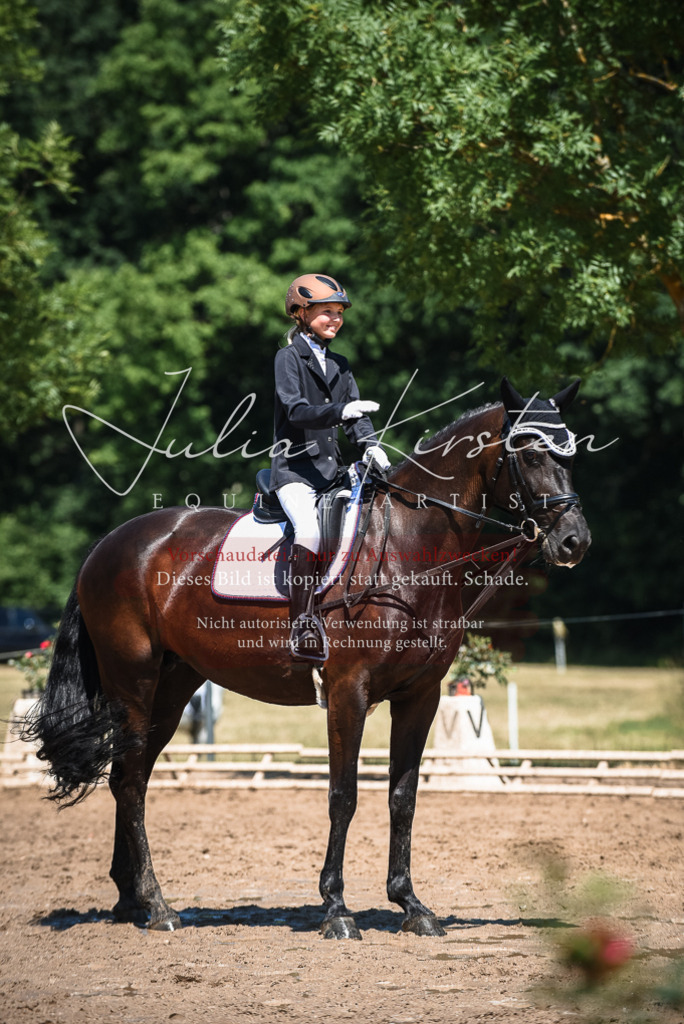 DSC_2783 | Pferde- und Turnierfotografie in Westsachsen. Pferdeportraits, Auftragszeichnungen und intuitive Kunst.