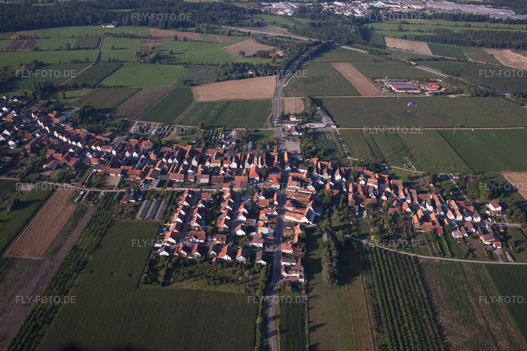Luftbild: Ortsansicht von Norden in Erlenbach bei Kandel im Bundesland Rheinland-Pfalz in Deutschland. Foto: IMG_70269.jpg vom 19.07.2014 durch Werner Riehm/FLY-FOTO.de
