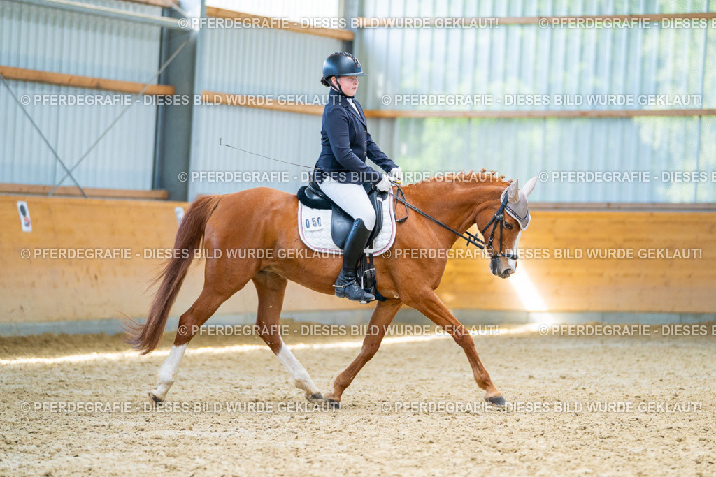 DSC08725 | Pferdegrafie