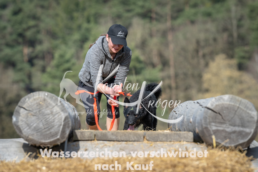 0953_ZZ97121 | kk-dogfotos