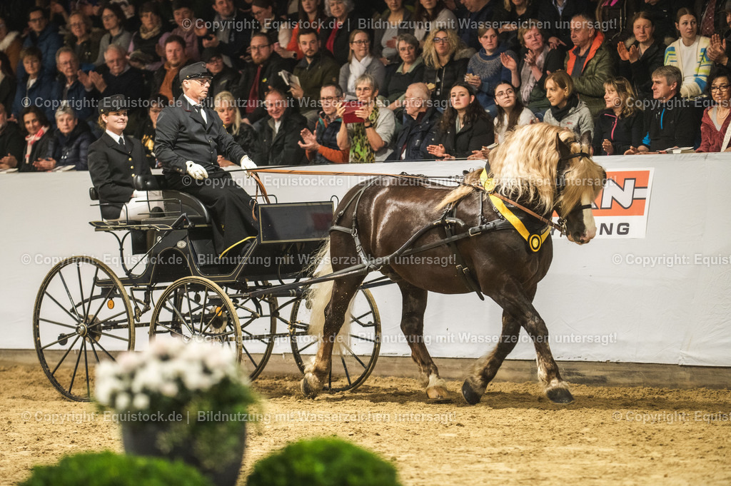 20240302_Hengstvorstellung_Marbach_TOMsPiC_0673-2 | equistock