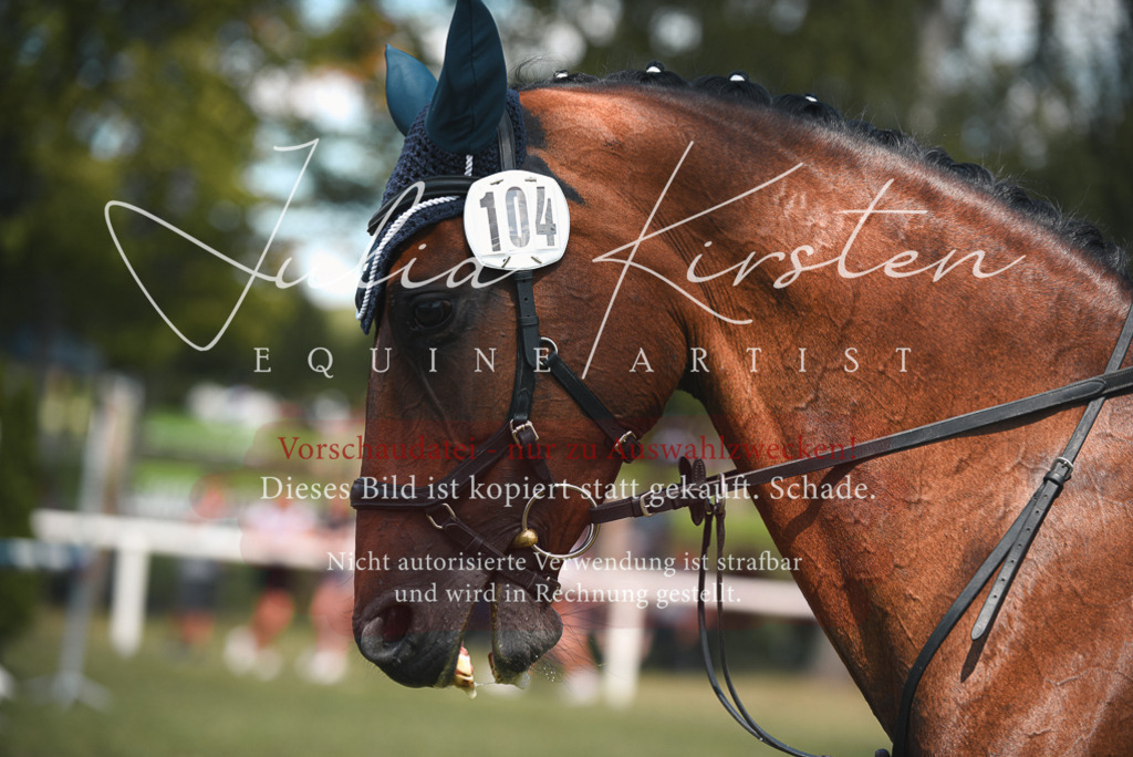 DSC_6517 | Pferde- und Turnierfotografie in Westsachsen. Pferdeportraits, Auftragszeichnungen und intuitive Kunst.